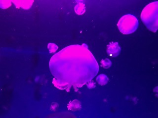 f0025201_23110986.jpg