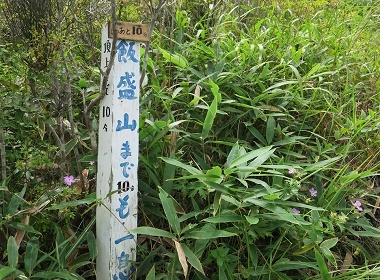 a0158702_09420201.jpg