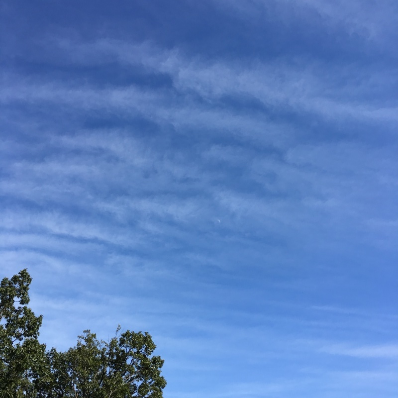 b0220002_22385418.jpeg