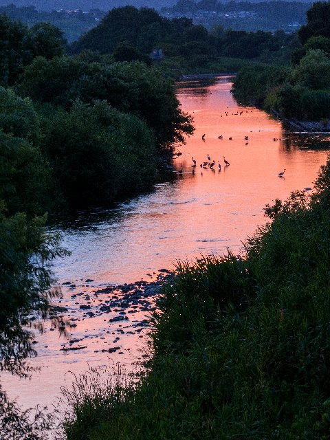 c0008502_1942463.jpg
