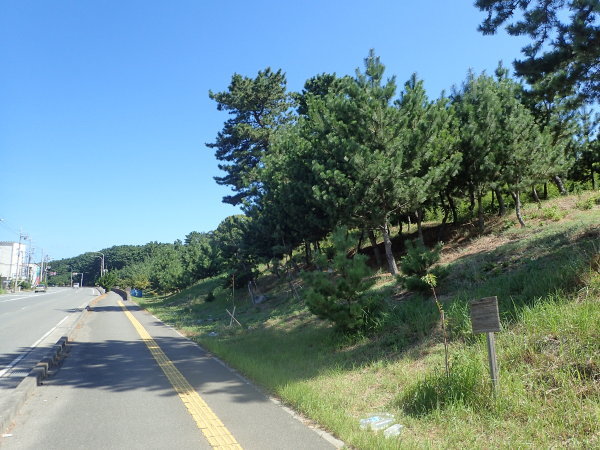 c0367107_10543762.jpg