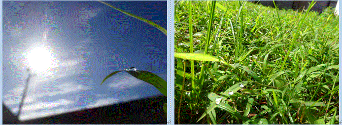 f0231709_17073358.gif