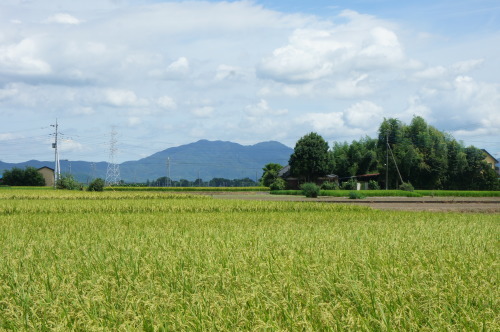 f0215714_16080891.jpg