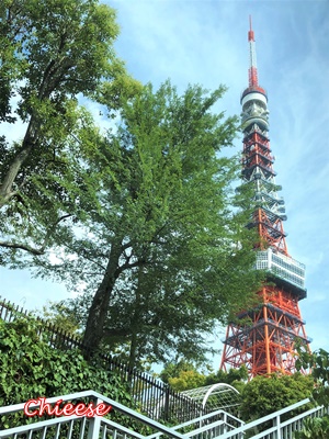 e0158121_14225875.jpg