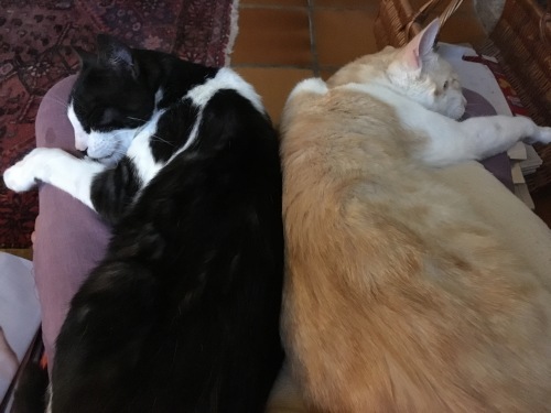 f0327534_01241343.jpeg