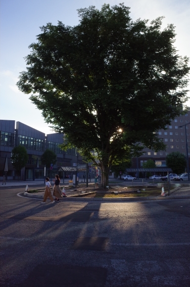 a0287336_15225727.jpg
