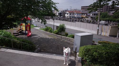 a0117039_23354285.jpg