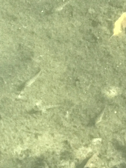 c0234439_01372347.jpg