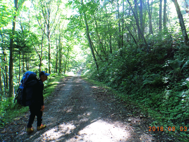 e0371039_10313574.gif