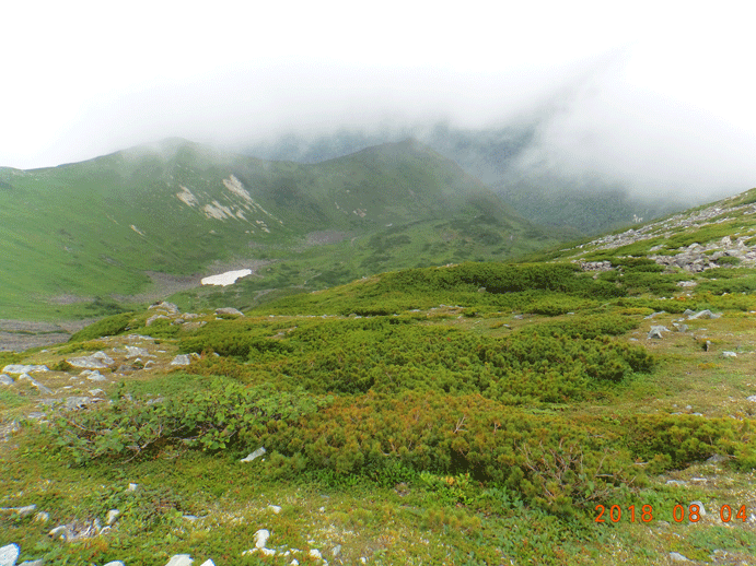 ☆ 北海道の山旅 と き：８月１日（水）夜～１２日（日）_e0371039_1033375.gif