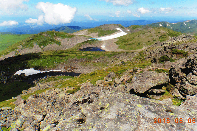 e0371039_10372684.gif