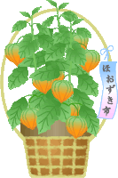 b0133752_23201992.gif