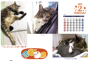 a0246661_12201311.png