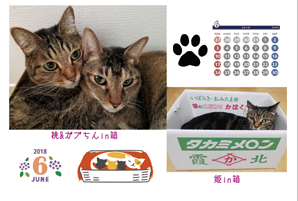 a0246661_12223527.png