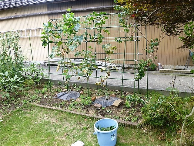 d0028665_21540801.jpg