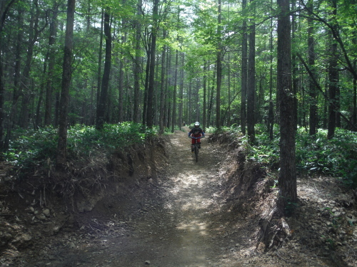 富士見パノラマ MTBダウンヒル_b0332867_22095987.jpg
