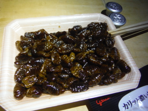 富士見パノラマ MTBダウンヒル_b0332867_23123910.jpg