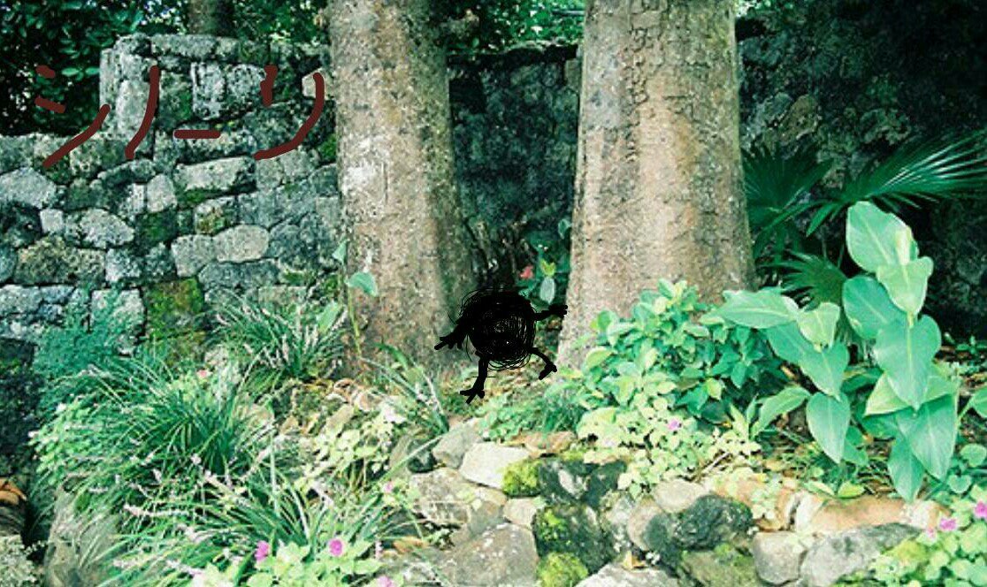 怪物図録:沖縄写真書込系:アカマタ(追記)、ミルク洞窟の赤牛、識名坂の遺念火、焼金、アカカナジャー他_b0116271_13435086.jpg