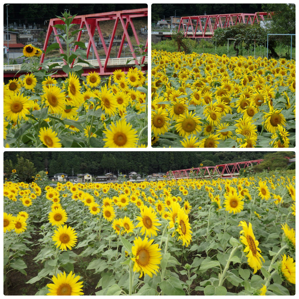 d0054276_2049502.jpg