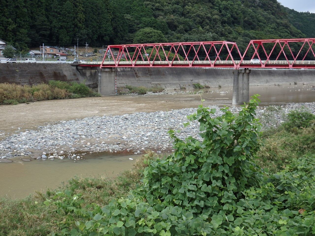 d0054276_20503532.jpg