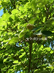 b0224081_12471422.png