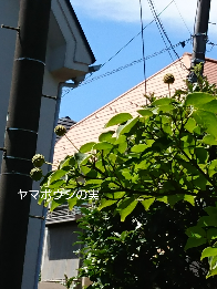 b0224081_12473081.png