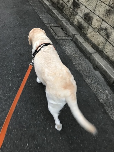 f0315081_22262551.jpeg
