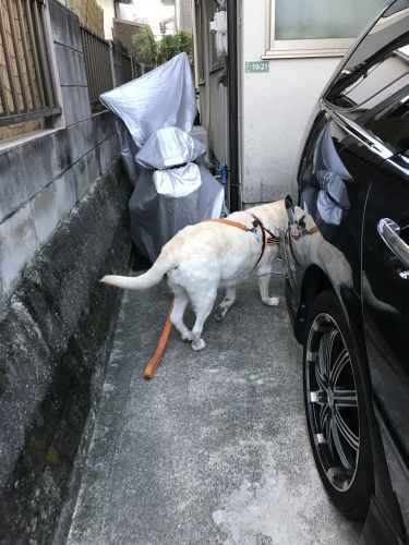 f0315081_22315505.jpeg