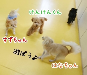 それぞれの過ごし方!_f0357682_13310456.jpg