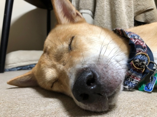 c0332184_21123250.jpeg