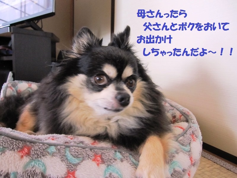 b0150088_09065748.jpg