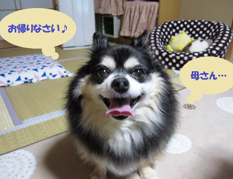 b0150088_09073980.jpg