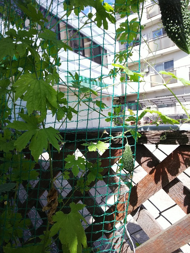 c0191390_12081234.jpg