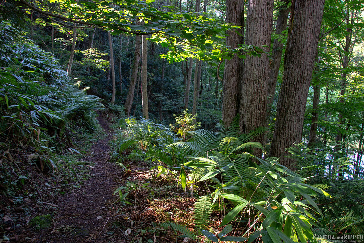 a0207595_22475223.jpg
