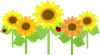 f0242002_19242675.png