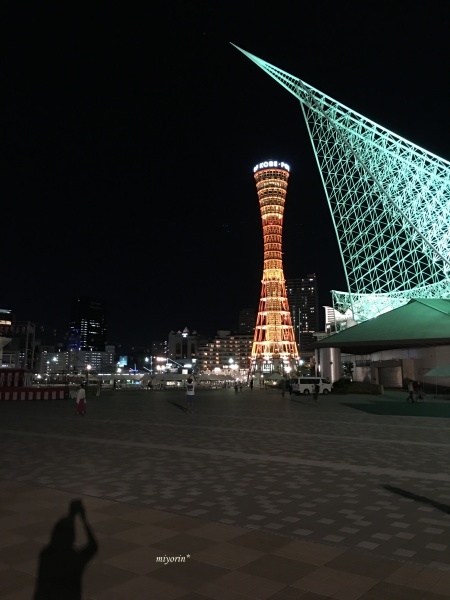 a0123003_14485820.jpg
