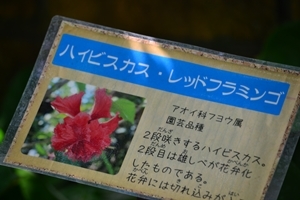 a0240403_08454067.jpg