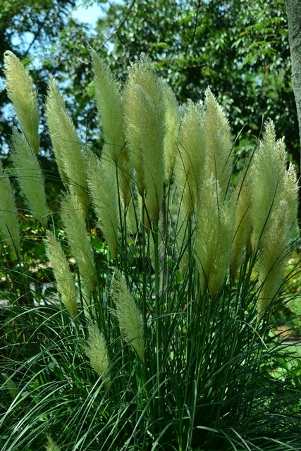 a0240403_08462162.jpg