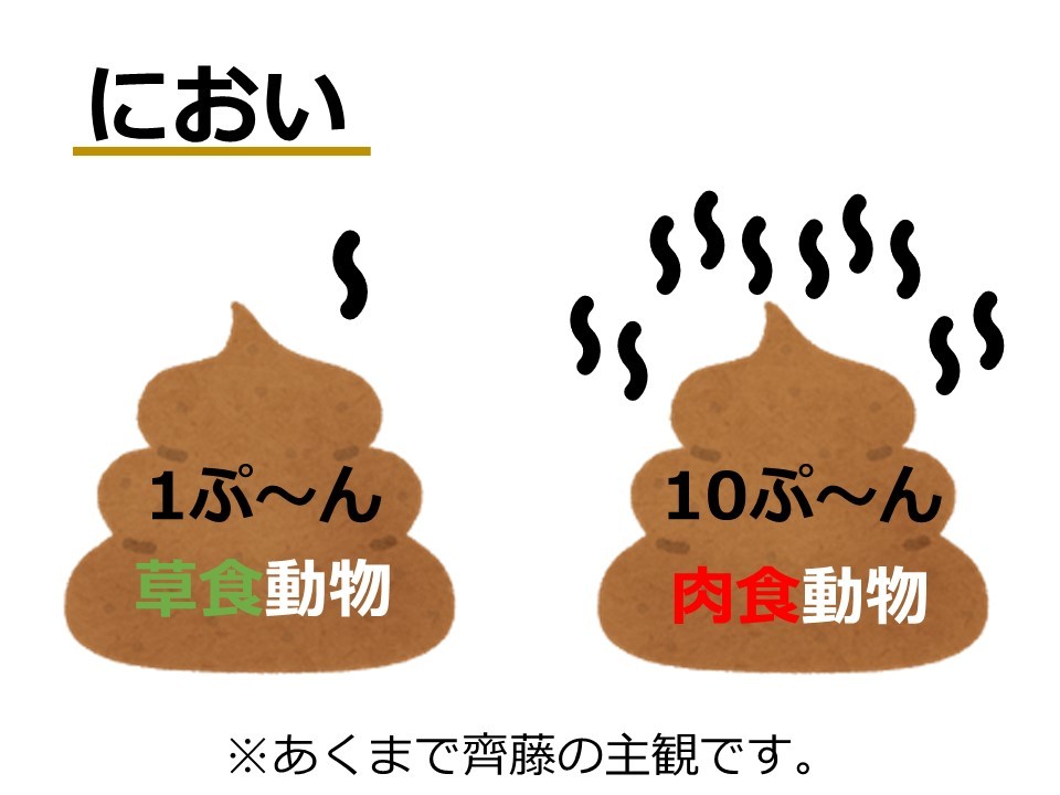うんち！_c0290504_14084776.jpg