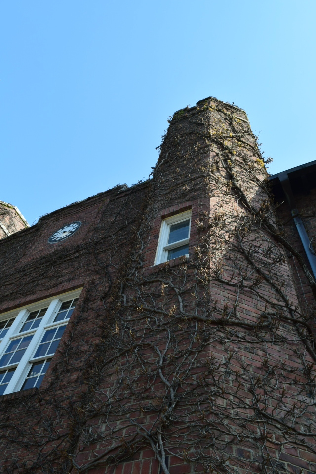 東京立教大学池袋キャンパス(大正モダン建築探訪)_f0142606_11180776.jpg