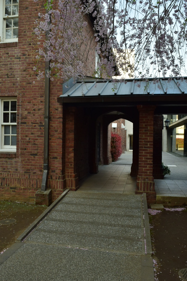 東京立教大学池袋キャンパス(大正モダン建築探訪)_f0142606_11545308.jpg
