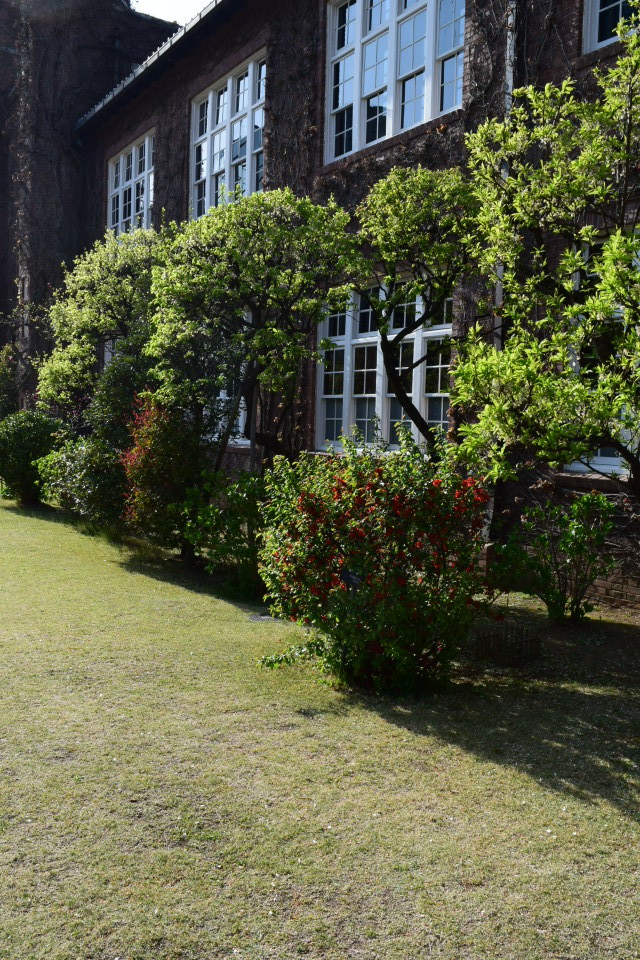 東京立教大学池袋キャンパス(大正モダン建築探訪)_f0142606_11551116.jpg