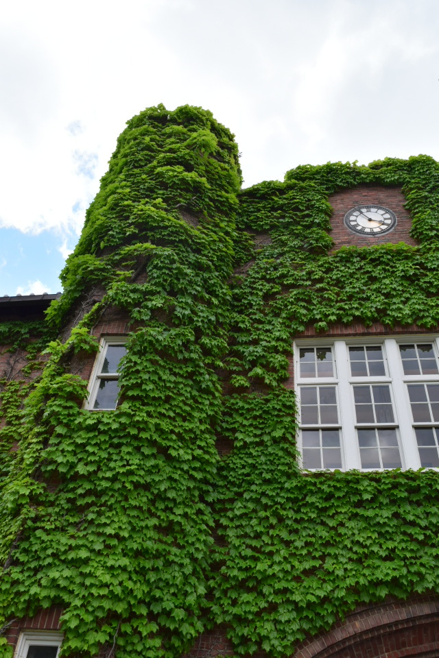 東京立教大学池袋キャンパス(大正モダン建築探訪)_f0142606_13251686.jpg