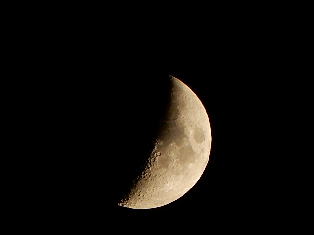 d0197317_14042441.jpg
