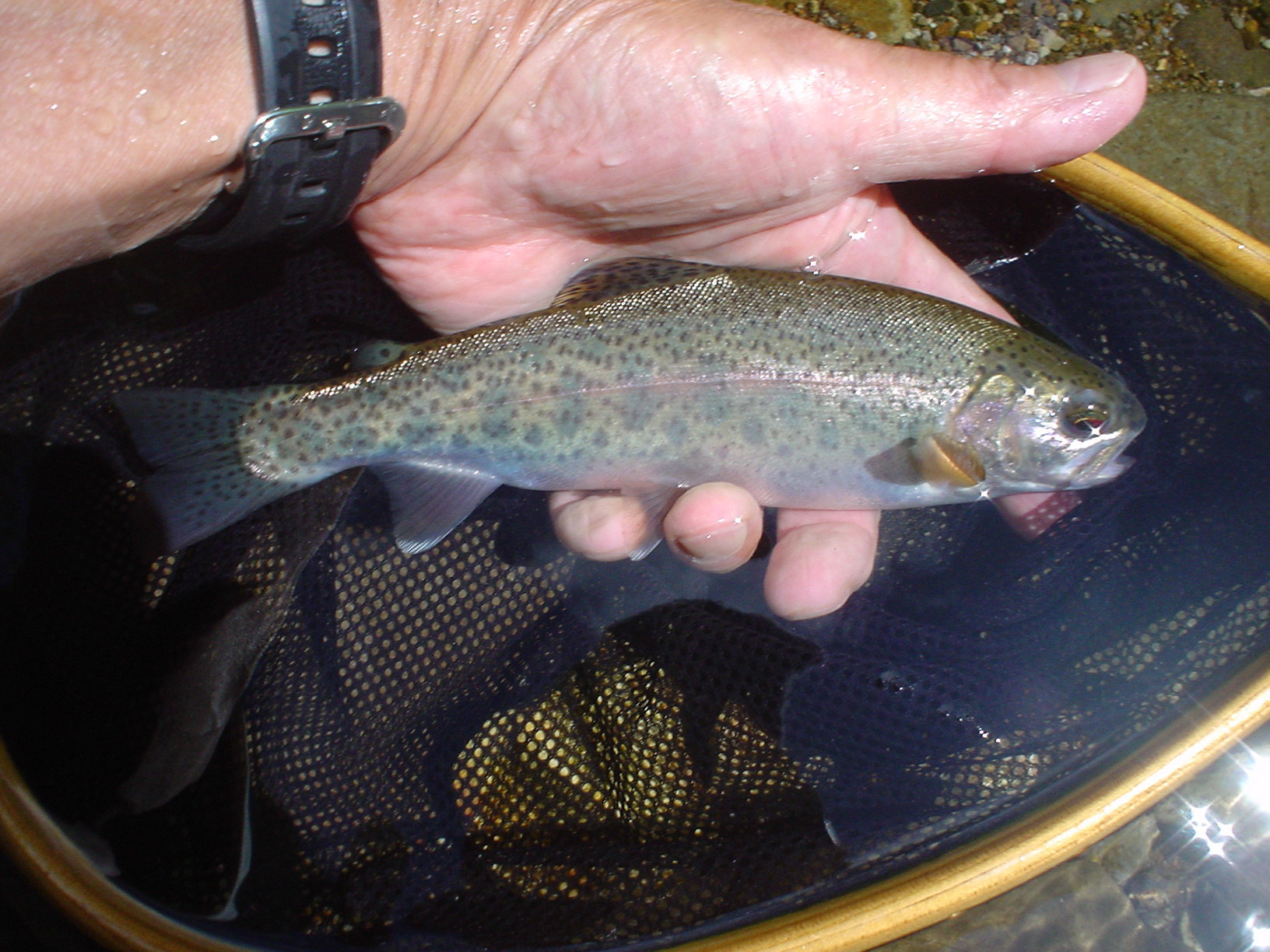 f0280717_19235022.jpg