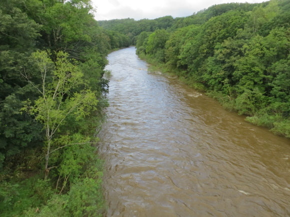 f0280717_19545280.jpg
