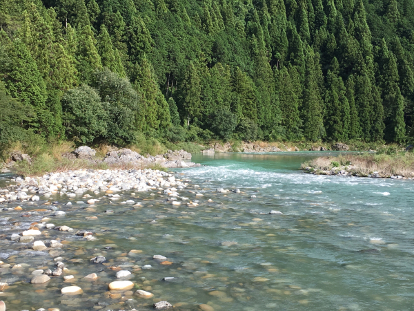 a0099131_00131390.jpg