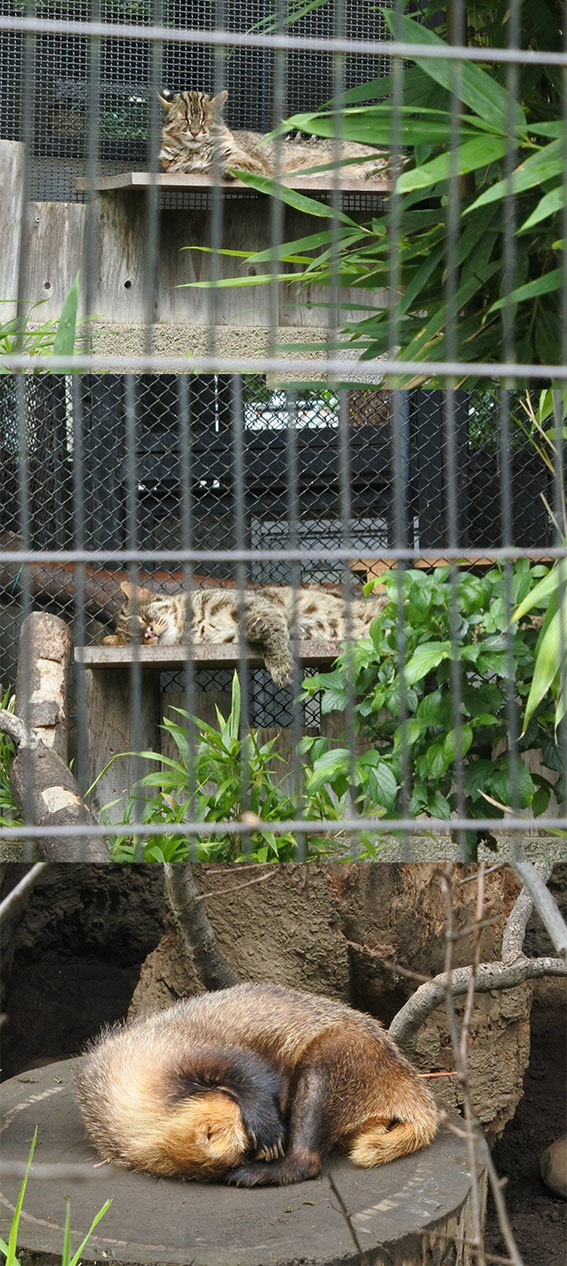 b0036733_09163755.jpg