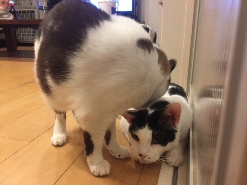 c0342535_23425285.jpeg