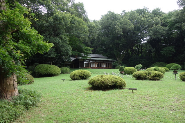 d0370737_09141276.jpeg
